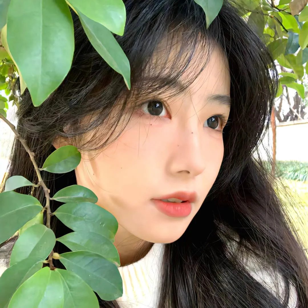 大秦赋